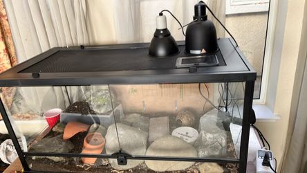 40 gallon gecko/reptile tank & accessories