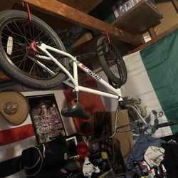 2021 Phantom Fit bike Bmx 