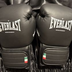 Everlast MX3 Prototypes 14oz 