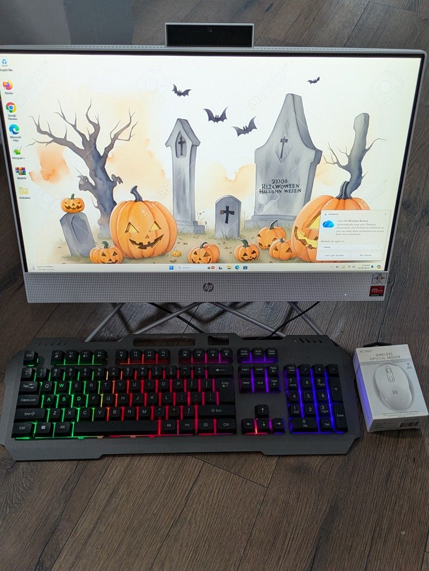 HP DESKTOP ALL IN ONE NOT LAPTOP COMPUTER LAPTOP FAST WITH NEW KEYBOARD AND MOUSE 256GB WINDOWS 11