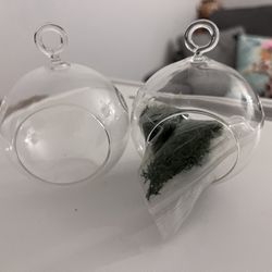 Terrarium orbs 
