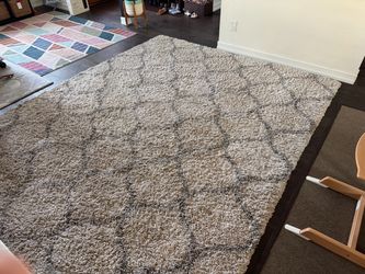 8x10 shag rug