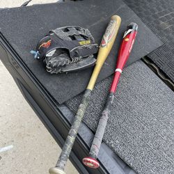Baseball bats and glove