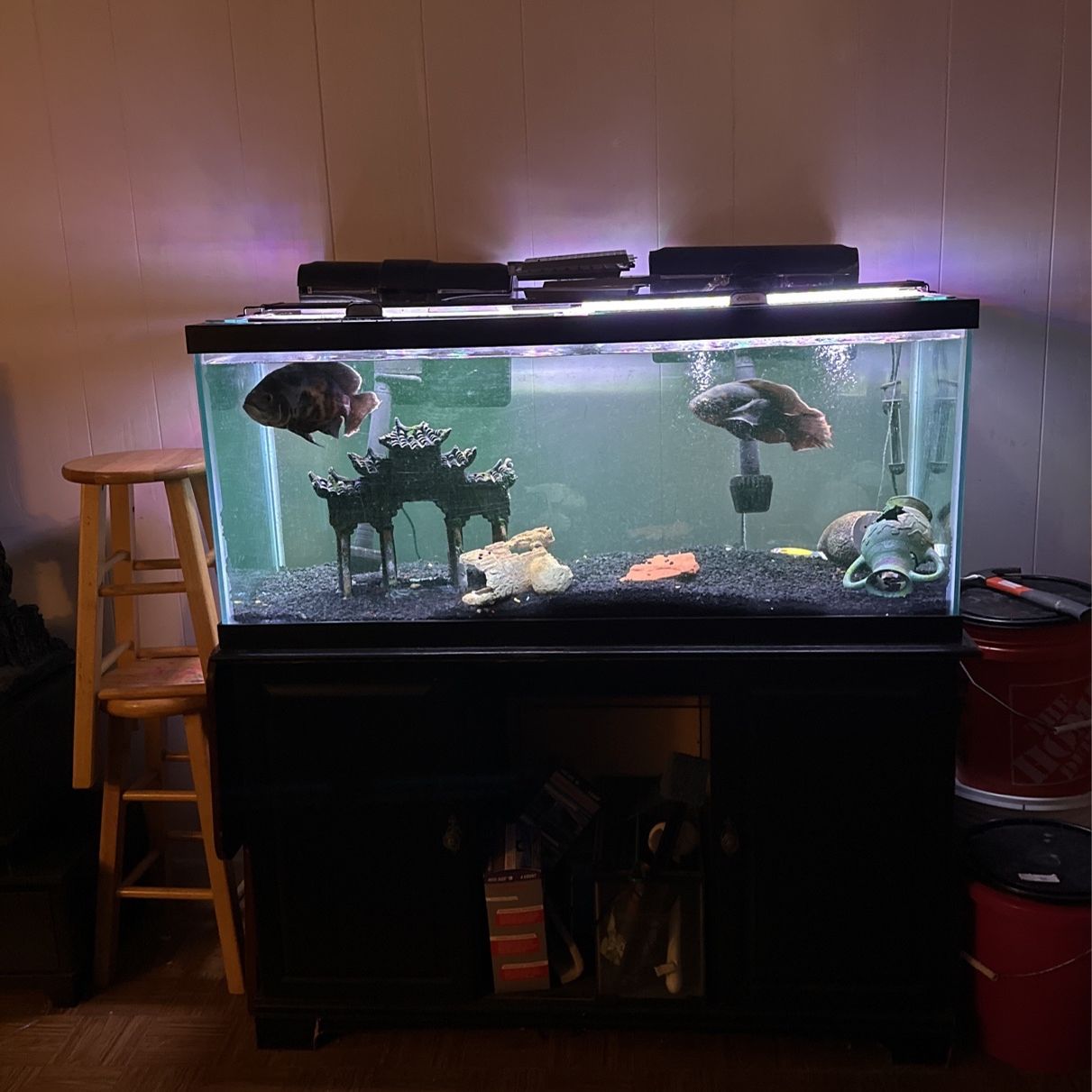 90 Gallon Aquarium 