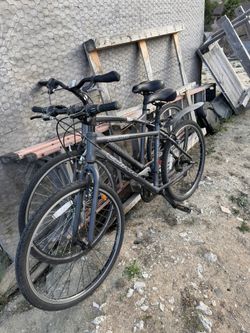 Bicicletas