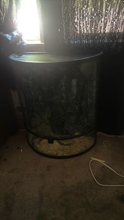 Reptiles Enclosure