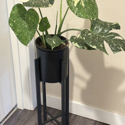 Plant stand metal frame and plastic pot