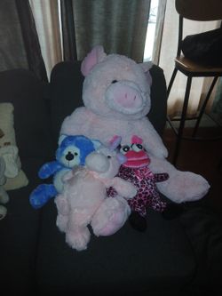 Stuff Animals