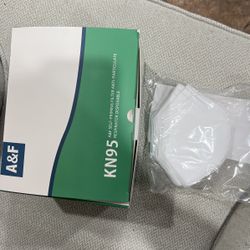 N95 Ear Loop Mask
