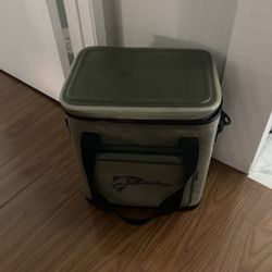 Coho Insulated Cooler H-15, L-15,W-11 Inches 