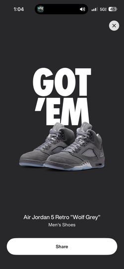 Jordan 5 Wolf Gray