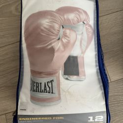 Everlast Boxing Gloves