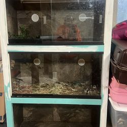 3 Tier Reptile Tank
