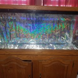 Fish Tank