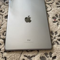 iPad Pro 10,5 In