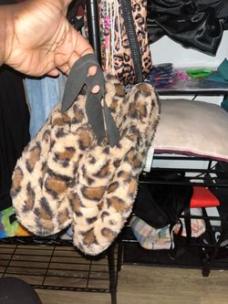 Leopard slides