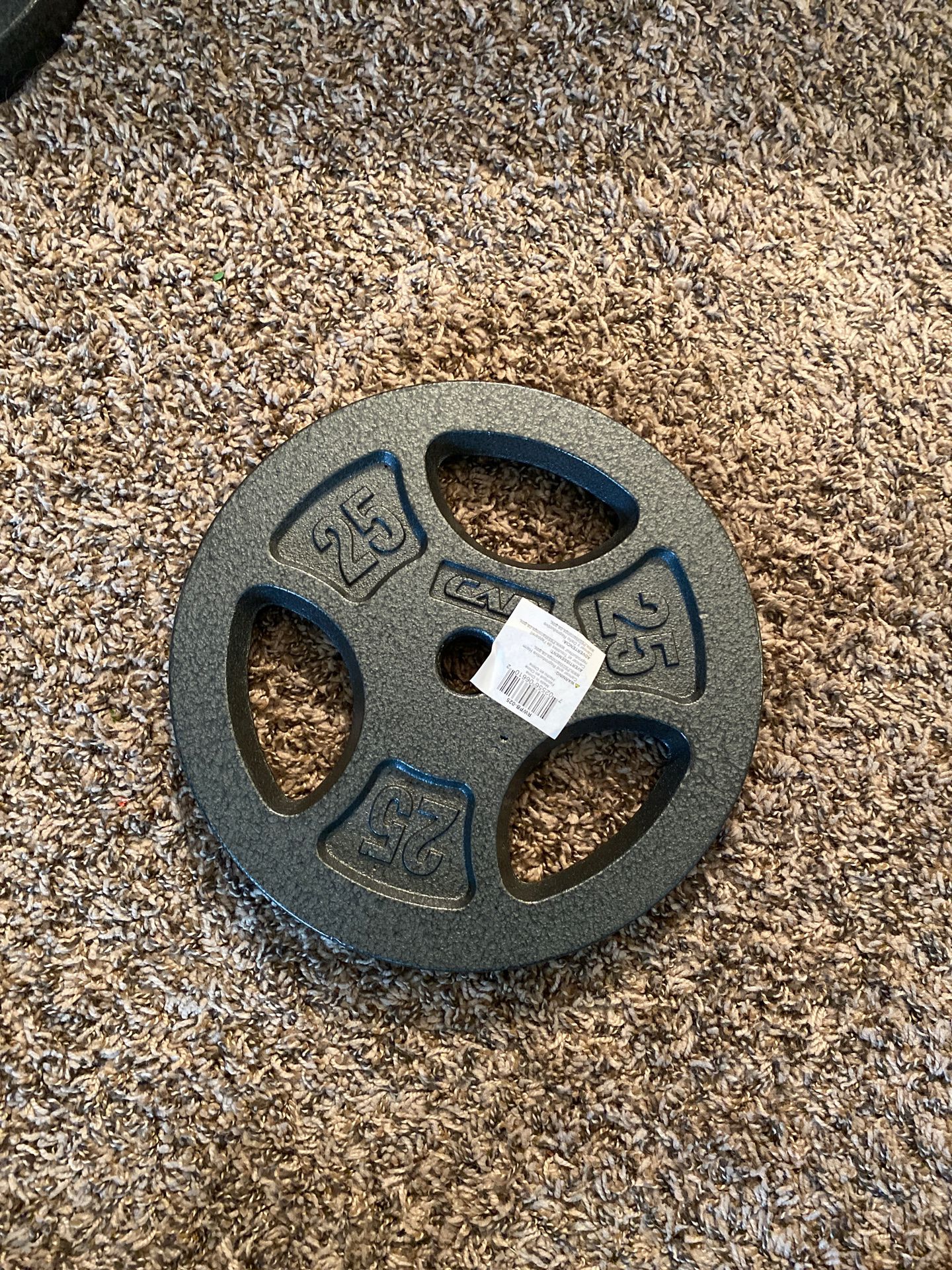 25 lb plate weights