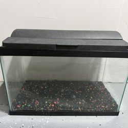 Aquarium 10 Gallon With Heater And Hood With Light 