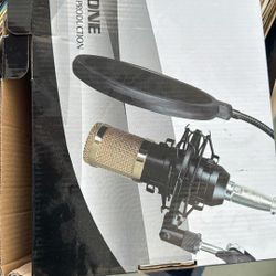 Professional Microphone