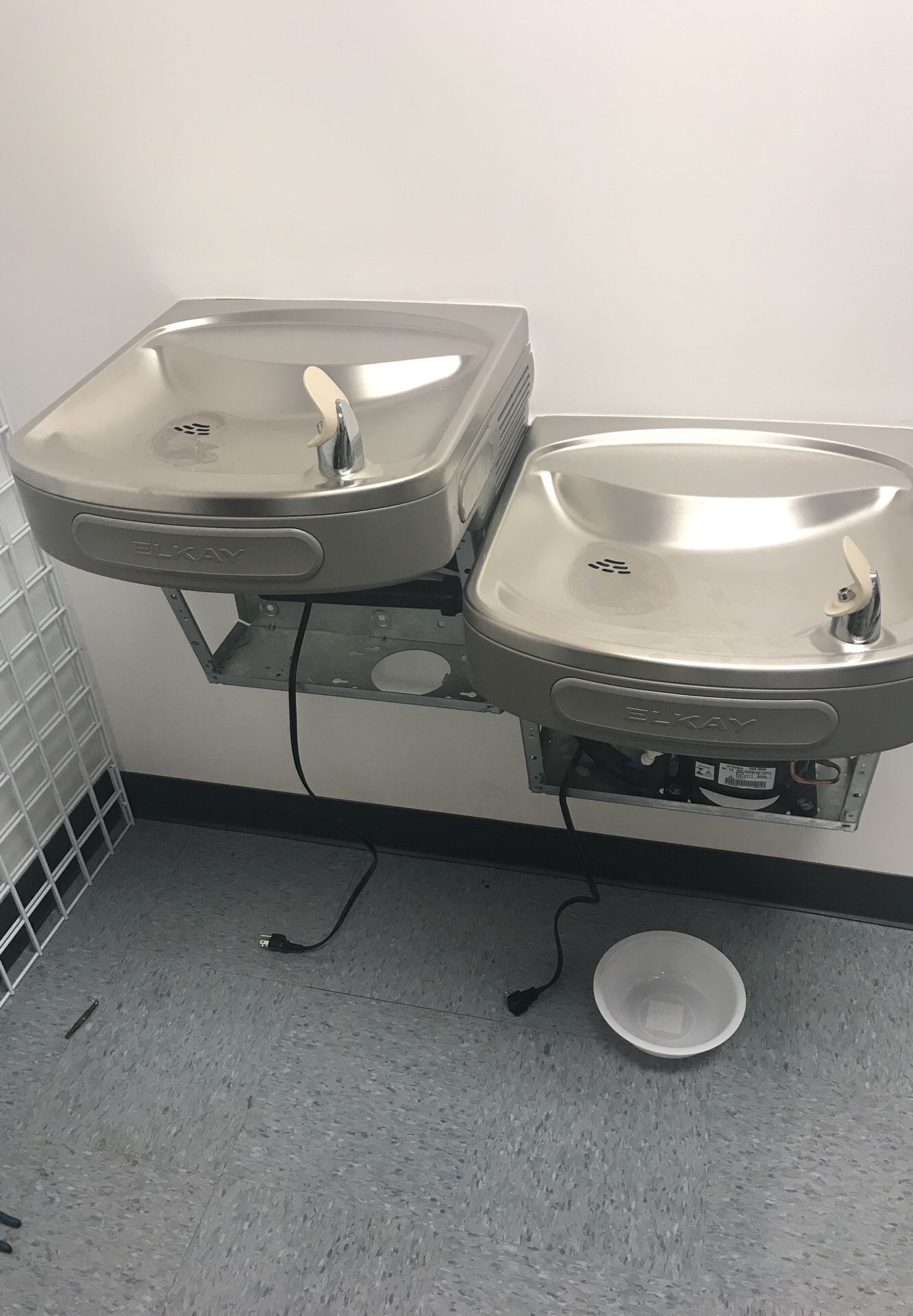 Water fountain / cooler