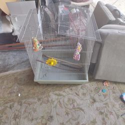 Big Bird Cage