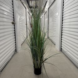 Artificial Dogtail/Oniongrass Plant (4 Ft 9 Tall)