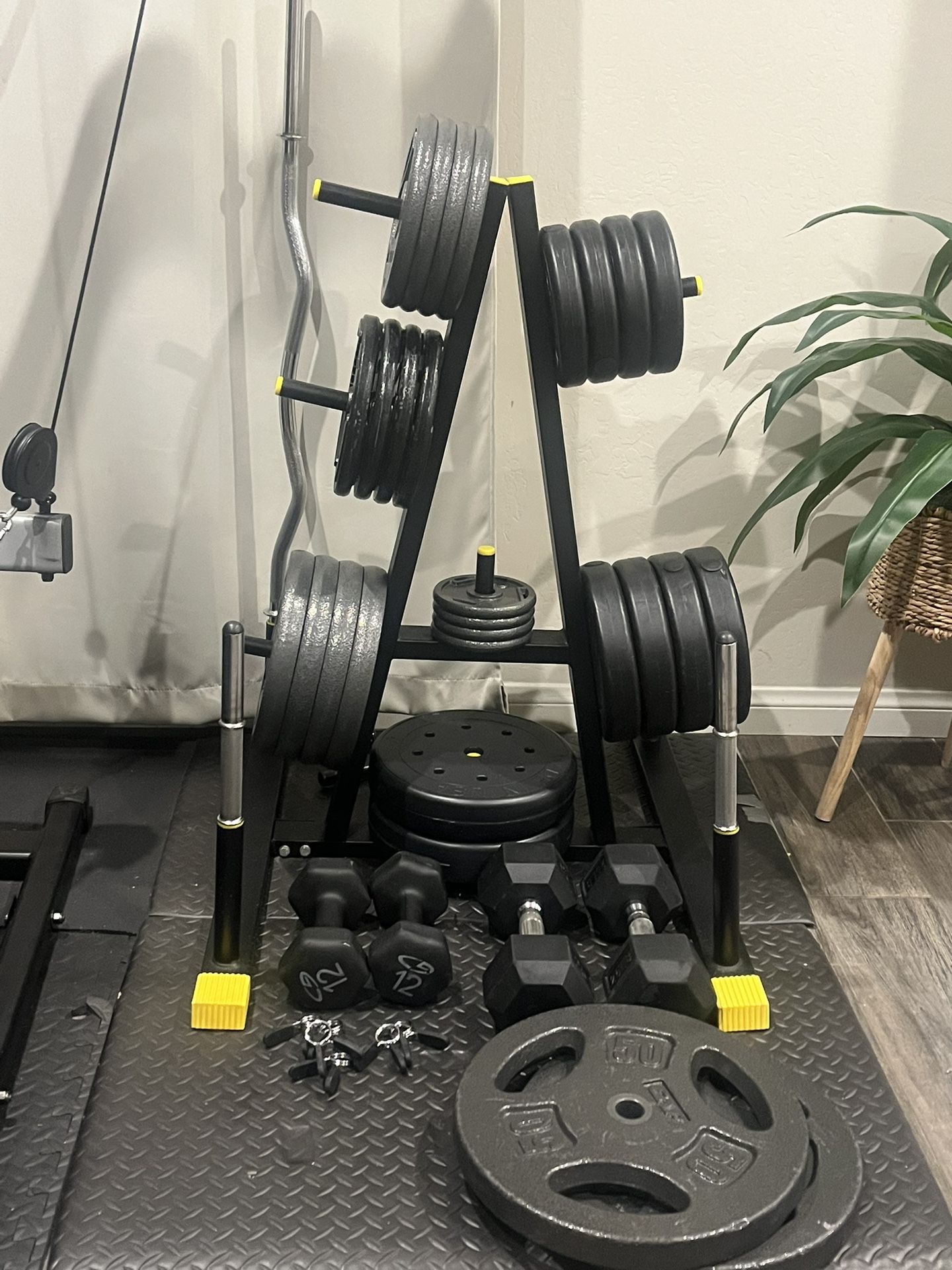 Standard 1” Plates + Dumbbell + Weight Rack