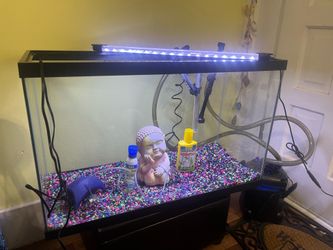 29 gallon aquarium tank with upgrades, uv light canister filter, heater, air pump, light gravel and other items
