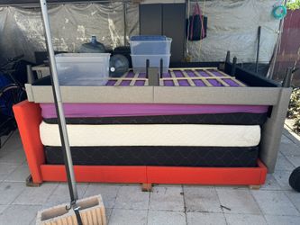 2 Bed Queen Size With Frame $50 Each