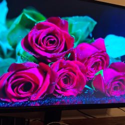 LG Ultragear Monitor