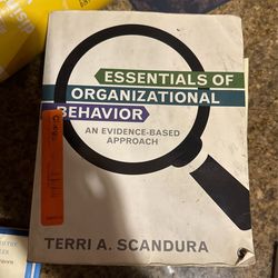 Essentials Of Organizational Behavior