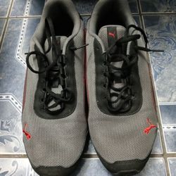 Pumas Shoes