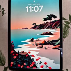 iPad Pro 11 inch (2nd Gen) Wifi 128 GB