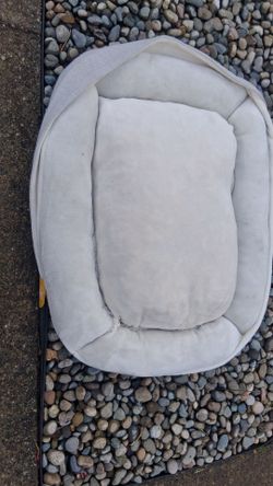 Dog bed