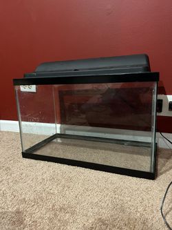 10 gallon aquarium kit (used) Thumbnail