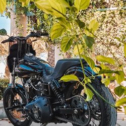 2017 Harley Davidsob Streetbob
