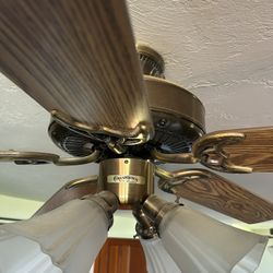 Casablanca Remote Ceiling Fans With Lights