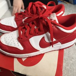 Dunks Size 6y