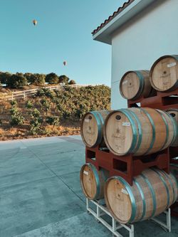 Wine Barrels
