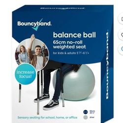 Bouncybands® Balance Ball 65cm Silver