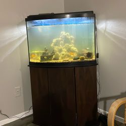 Aquarium 