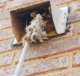 Air Vent Basic Maintenance (Unlimited Vents Up To One AC System) + Deodorizer