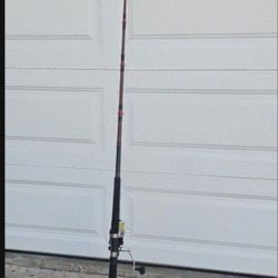 Fishing Rod with Full Kit.