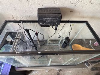 30 gallon tank