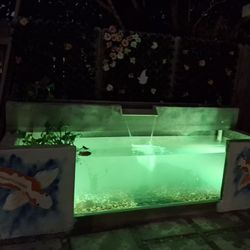 Construcción De Aquarium De Concreto Y Cristal.  Estimados Gratis 