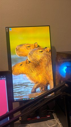 Pc monitor