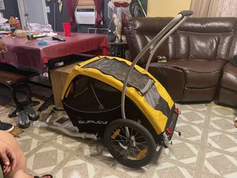 Burley Bike Pull Along 