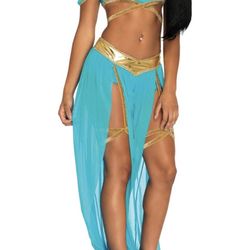 Princess Jasmin Costume