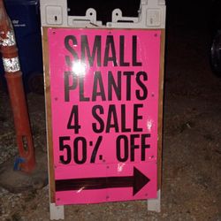 Small Plants 50% Off