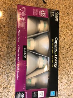 Light bulb R30